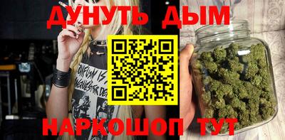 индика Гатчина