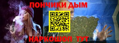 индика Гатчина