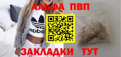 индика Гатчина