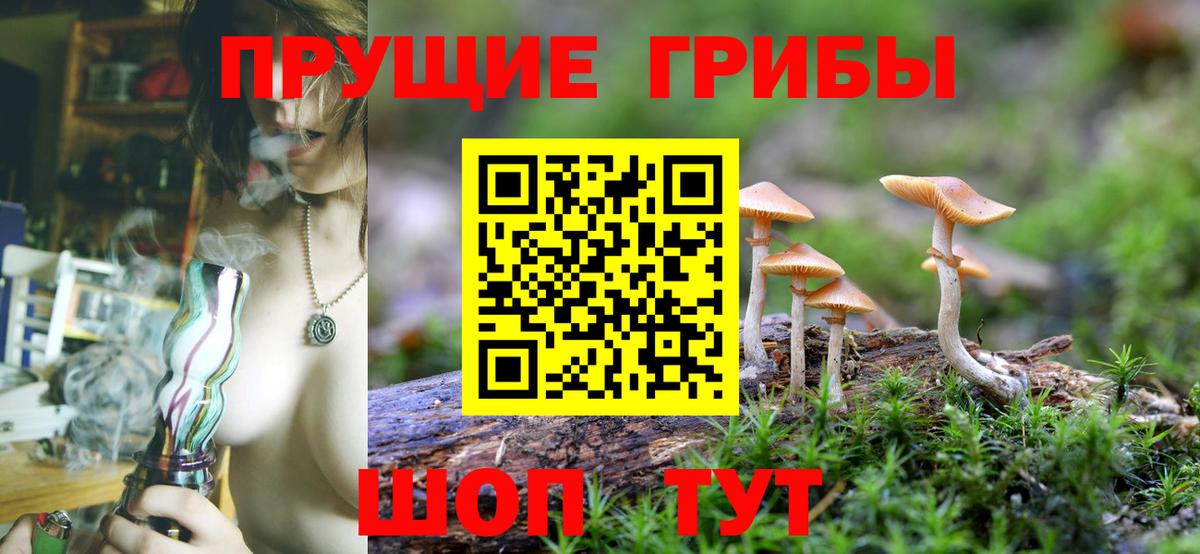 Галлюциногенные грибы MAGIC MUSHROOMS Каменск-Шахтинский