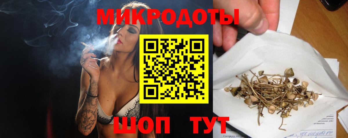 Псилоцибиновые грибы Каменск-Шахтинский
